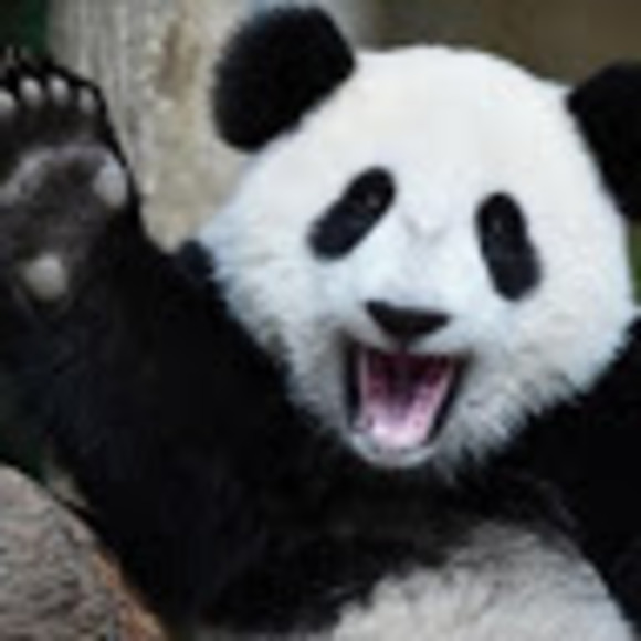 Meet your Posher, Kara - Picture 1 of 1